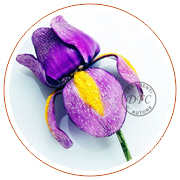 Spilla a forma di iris, 
Cilea, Parigi, 1990 c. 
resina lavorata a mano. 
Punzonata Cilea